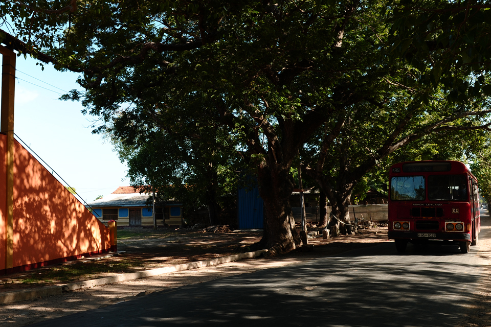 782 bus by the temple